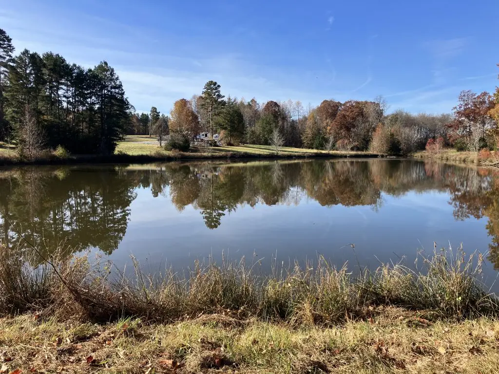 pond view of the RV park